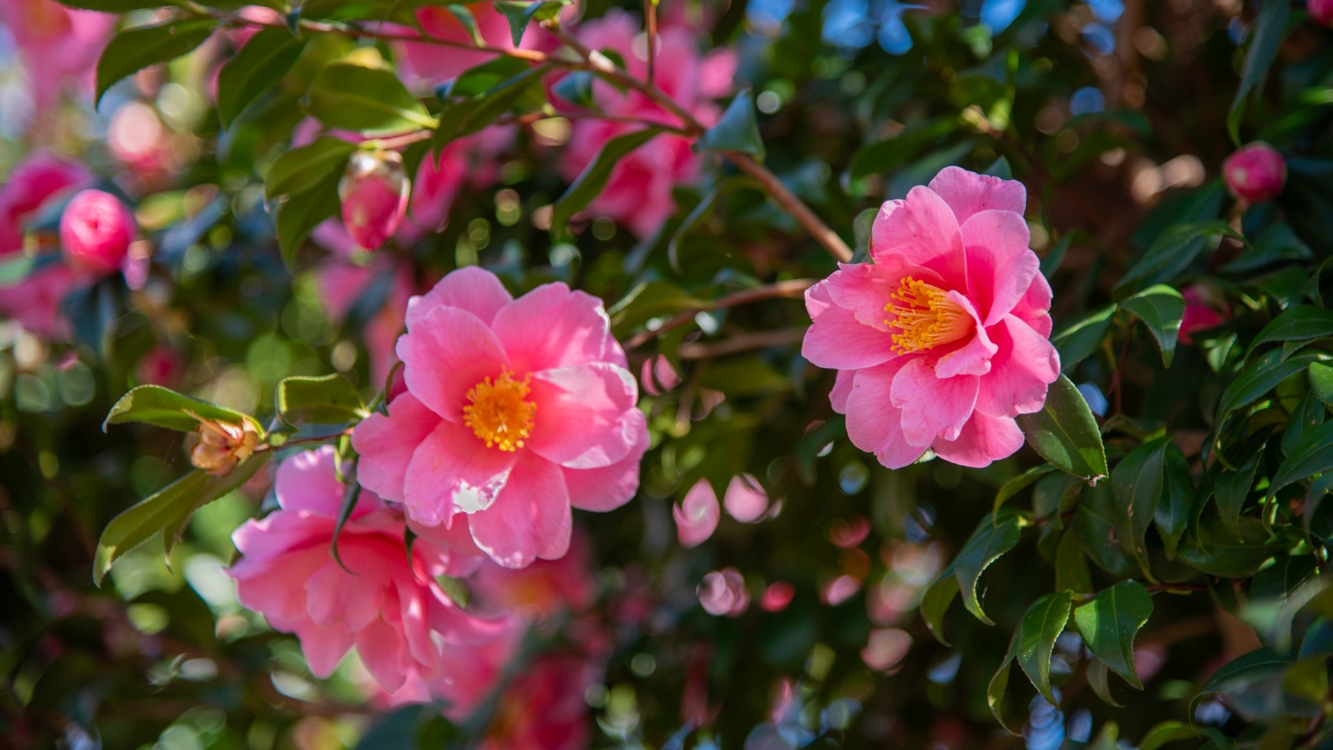 遅咲きでも大逆転!成功した人に共通する5つの特徴とは?