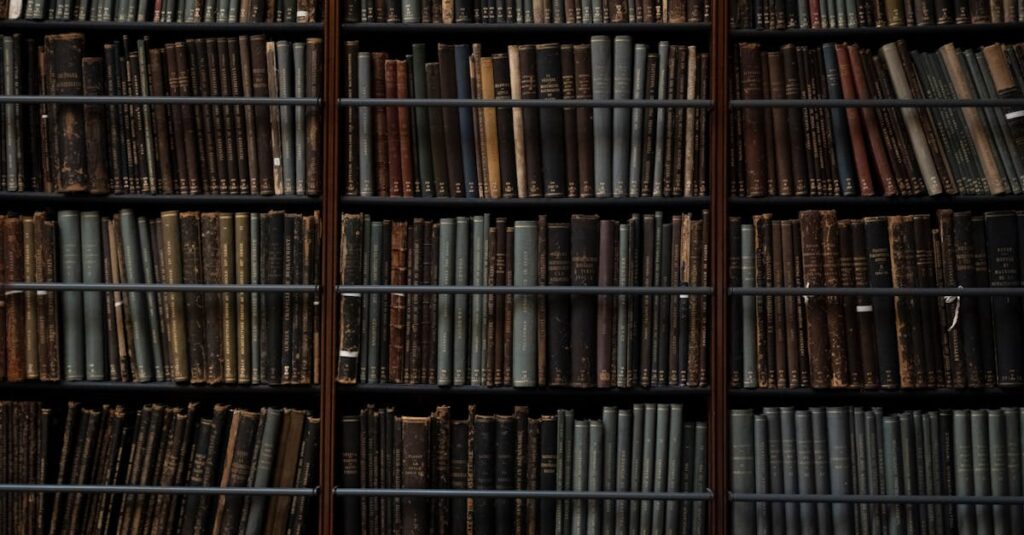 英語に関する知識・能力・スキルの違いを整理している人物のイメージ画像