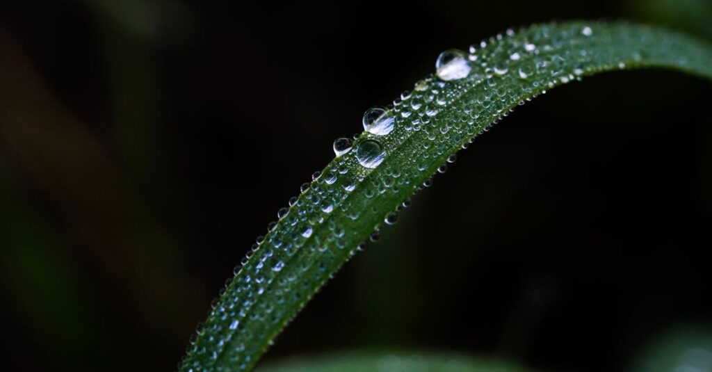 人生を変える最初の一歩を踏み出す場面を象徴するイメージ
