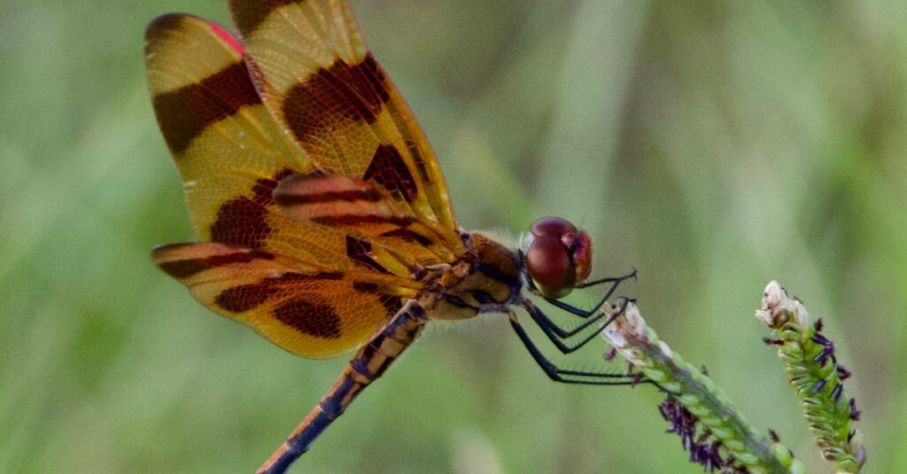 自分の気持ちに正直になる40代ビジネスマンの前向きな表情のイメージ