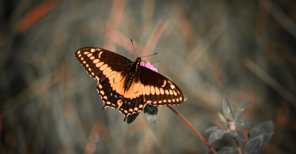 人生を前向きに変えるための行動と気づきを振り返る場面のイメージ