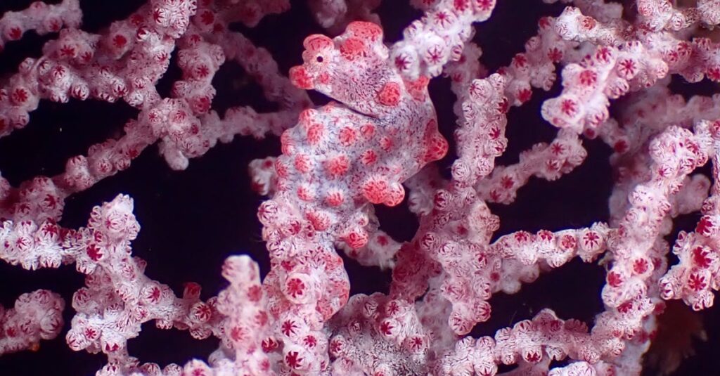 うまくいく人が小さな習慣から始めることで成功している様子。