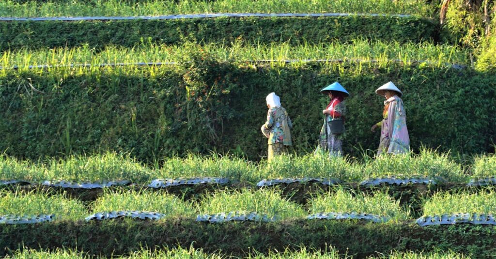 アメブロで収益化を始めるための最初の3ステップを示す図解