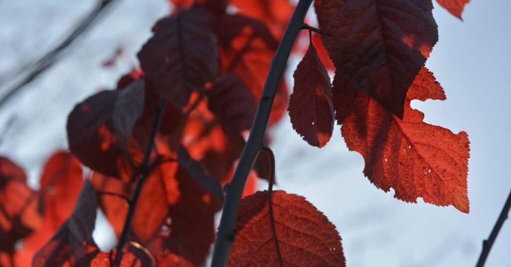 人生を前向きに変えるための5つの習慣を象徴するビジュアル