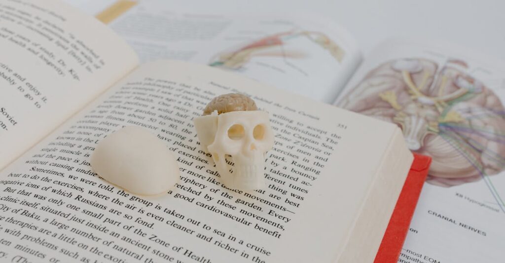 スパルタ英会話の受講者によるリアルな口コミと体験談。成功と失敗の声をバランスよく紹介した図