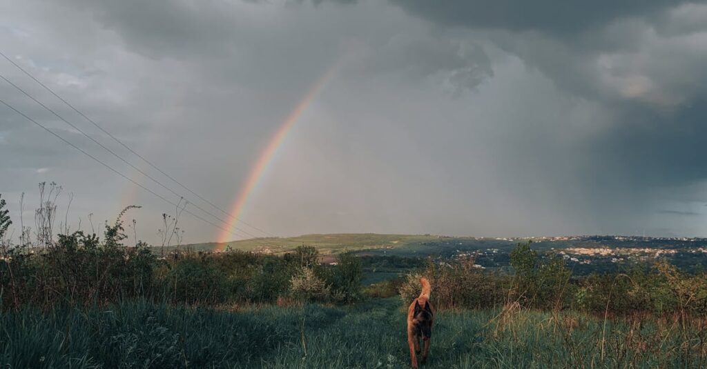 退職後に自由と解放感を味わっている人の幸せな様子を表現したイメージ